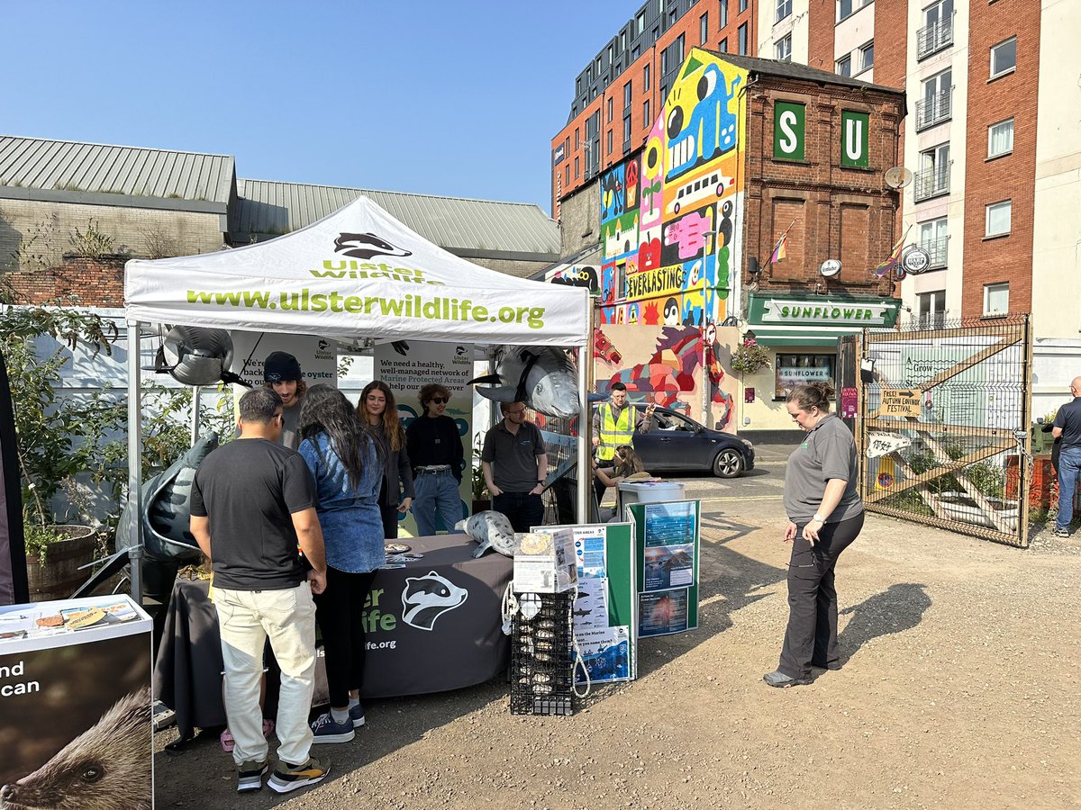 MEecoprof's tweet image. A very chilled atmosphere at the @playthinkbrink &amp;amp; @ClimateCraic #AutumnEquinox Weekender - a mix of conversations, provocations, music and food. #WhatShouldThisCityDo @ClimateCoCentre @AICBRN @QUBbioscience @QUBIGFS