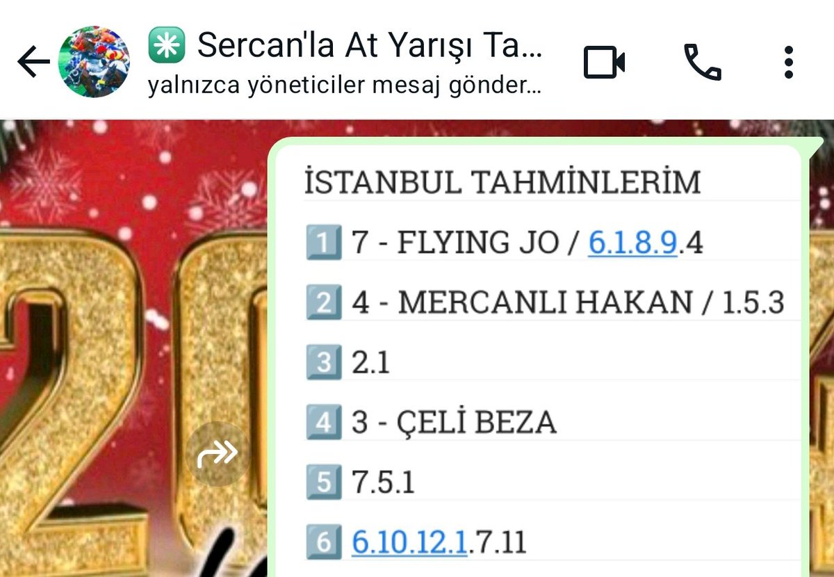 Sercankaya62's tweet image. Pek birşey vermez ama form tutuyor olmam büyüğünü getirir 💫💫💫
Grubumuza hayırlı olsun 🍀🍀🍀 
#İSTANBUL #HORSE #RACES