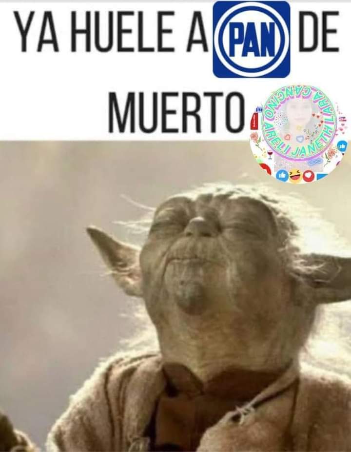 CorralPriego's tweet photo. @duopp2 @Hezaelle @XochitlGalvez @senadomexicano @fernandeznorona https://t.co/LC5wEBqNn5