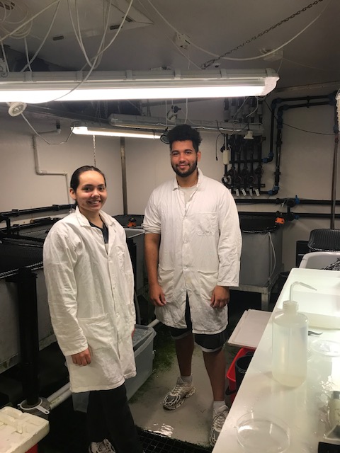 Time flies... lucky to have had enthusiastic students around up until the summer 🤩 Congrats to Kristine &amp; Tomas on their MSc degrees, and thanks to interns Coline &amp; Paul who were a nice addition to the field and lab teams - best of luck in your respective masters!