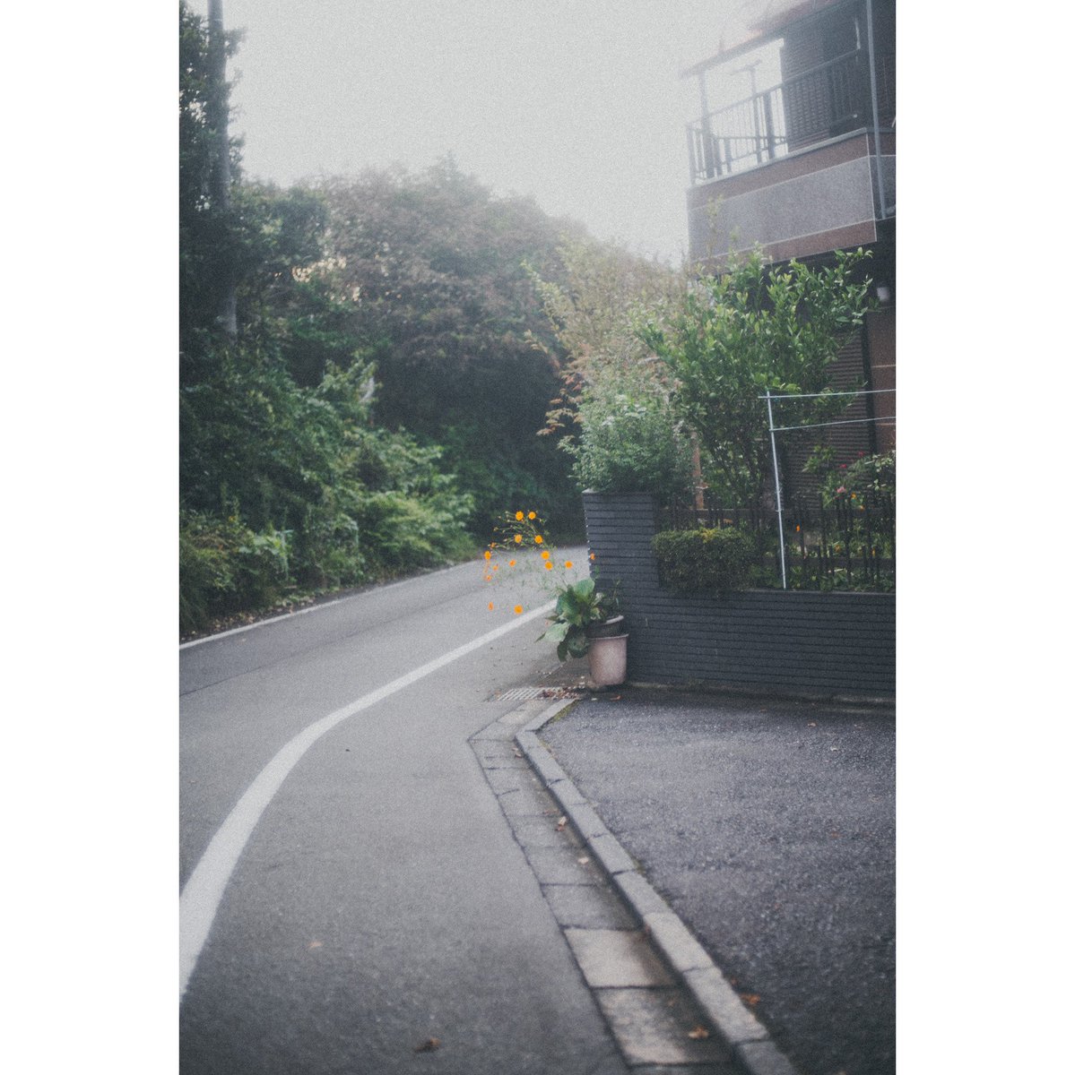 Mori (@cooom_1525) on Twitter photo 