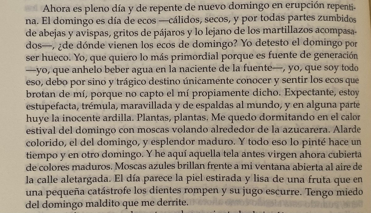 domingo (otra vez), día de ecos dice clarice