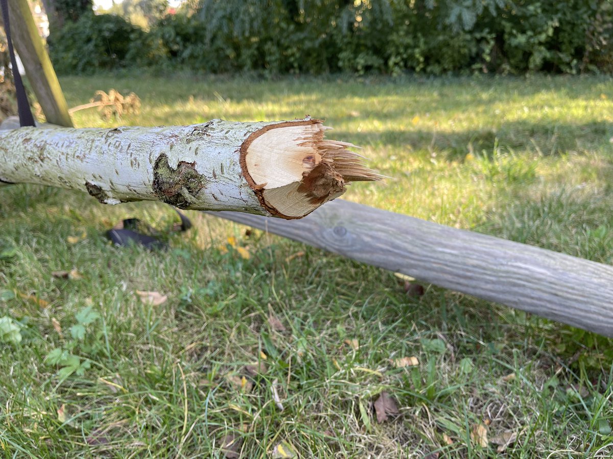 Thorsten Schatz tweet media