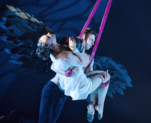 Dorchester Primary School tweet media