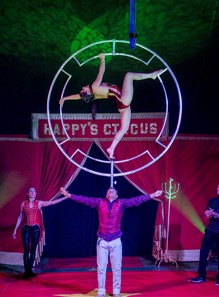 Dorchester Primary School tweet media