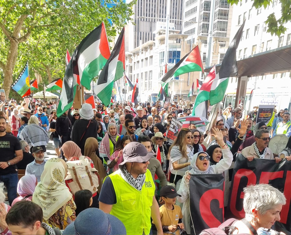 NNStrangers's tweet photo. @CapesJoy @AdameMedia @WgarNews @Birmo @AlboMP @blakandblack @australian @KateEmerson88 @2GB873 @SenatorWong @ScoMo30 @DavidShoebridge @KerenZelwer @AdamBandt @SenatorThorpe @dorinda_cox @SenatorPayman @senbmckenzie Sydney/Gadigal today, @AlboMP @SenatorWong @RichardMarlesMP @MarkDreyfusKCMP @joshburnsmp @TimWattsMP @tanya_plibersek @Mon4Kooyong @zdaniel @ChrisMinnsMP @MarkSpeakman @spenderallegra @birmo @PeterDutton_MP @DaveSharma @Mon4Kooyong @SenPaterson @AustraliaUN
#FreePalestineNOW https://t.co/jqnNcRrS7C