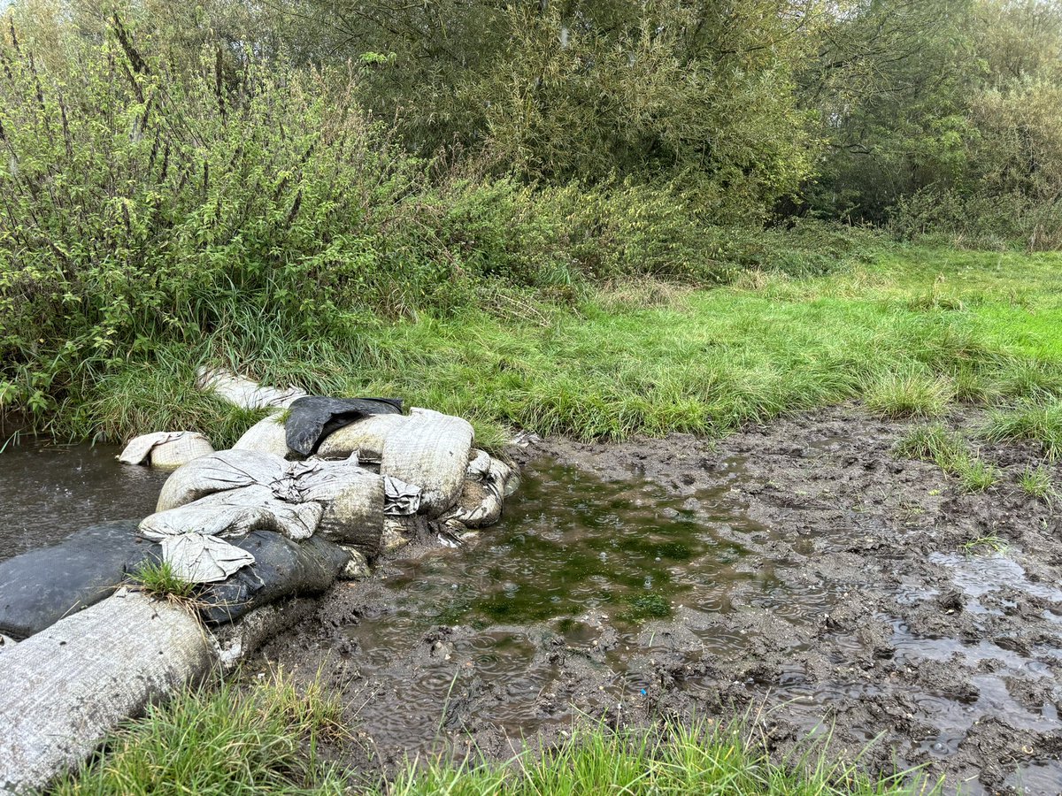 With more rain will come more sewage pumped into the Chess. The sandbanks and over grown nettles can’t stem the tide of filth. A once beautiful part of our area decimated by greedy fat cat river company #pollution #riverchesss <a href="/RiverChess/">R. Chess Association</a> <a href="/TRW_SSP/">Three Rivers & Watford SSP</a>