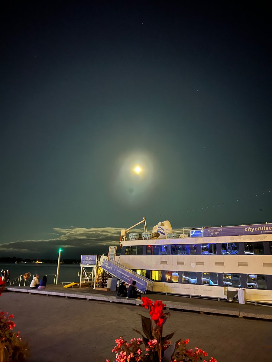 SophiaPriya's tweet image. #HarbourFront