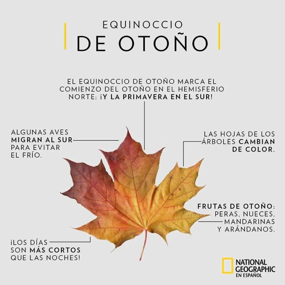 HibetSanchez's tweet photo. #felizInicioDeOtoño #EquinoccioDeOtoño 🍂🍁🍂🍁🍂🍁🍁🍂🍁🍂🍁🍂 https://t.co/JmyZBqwiK2