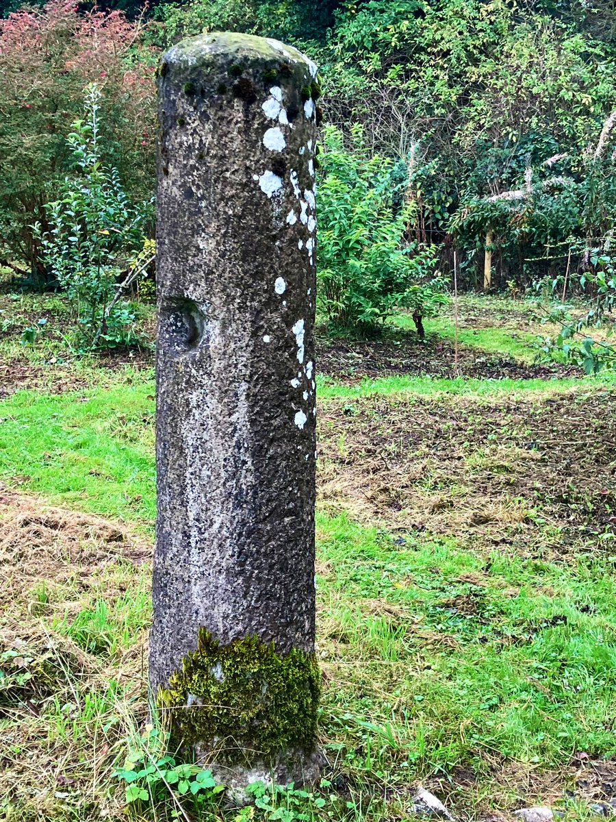 Cambria Celtica Ⓥ 🐶🏺🛳 👁️⃤ 🍸🚂🏴󠁧󠁢󠁷󠁬󠁳󠁿 tweet media