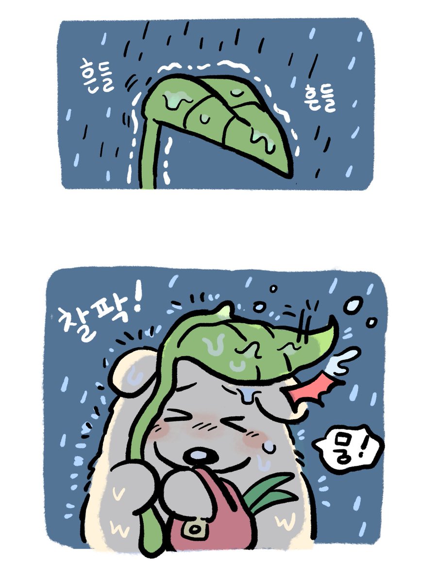 비가 쏟아져요🌧️ (1) 