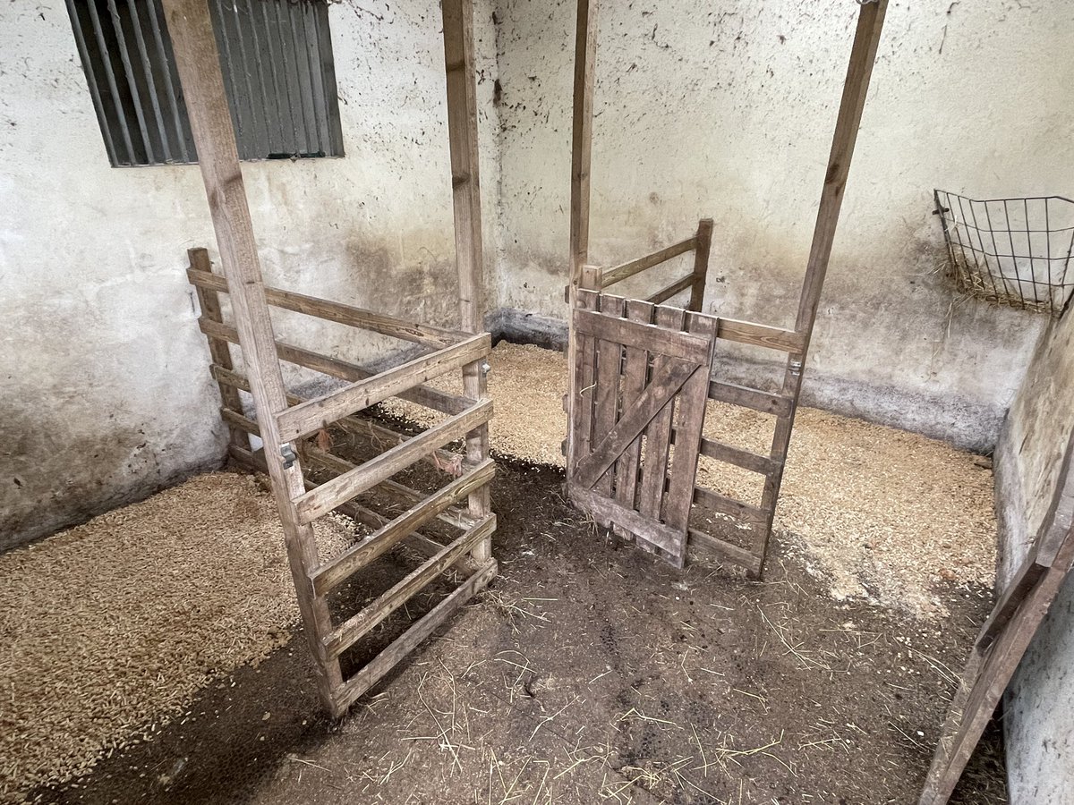 WelshTannery's tweet photo. Goat containment facility ready for their TB test tomorrow afternoon 🐐☹️ #TBtest #NotJustCows https://t.co/lbIYDUxERJ