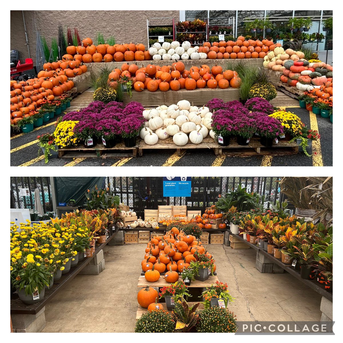 Ray Adee tweet media