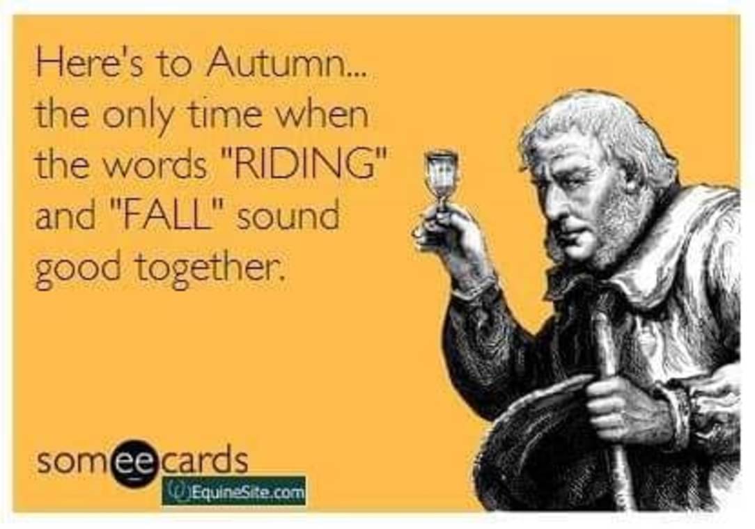 NMuchka's tweet photo. Happy Fall https://t.co/GDBtuPfk12