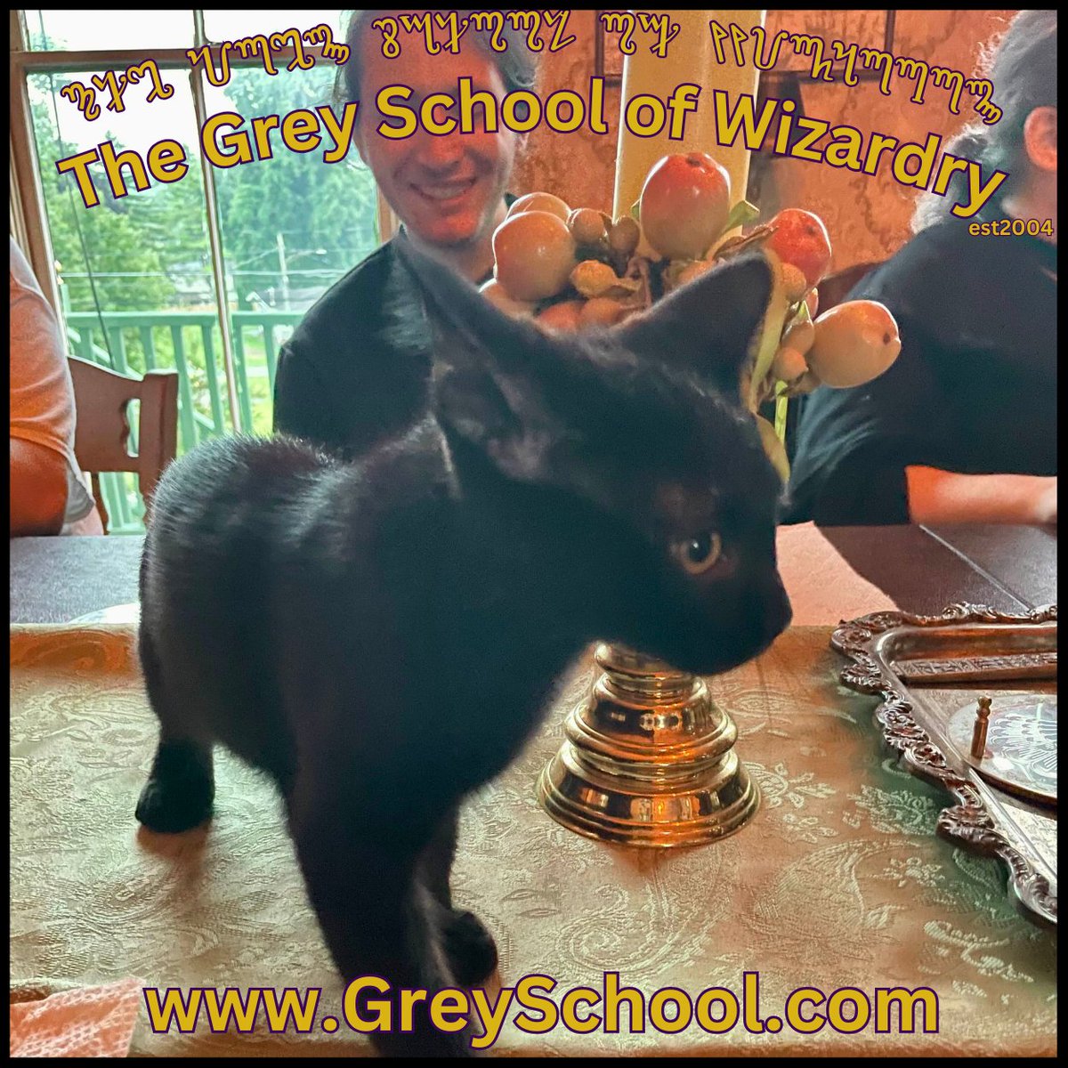 GSW_Media's tweet photo. Our pupils are encouraged to approach their studies with an inquisitive mind, a desire to understand the world in its fullness, and the confidence to question authority. 

Learn more about our School today at https://t.co/PDaFbFEYcT https://t.co/9sCgVGrh4O