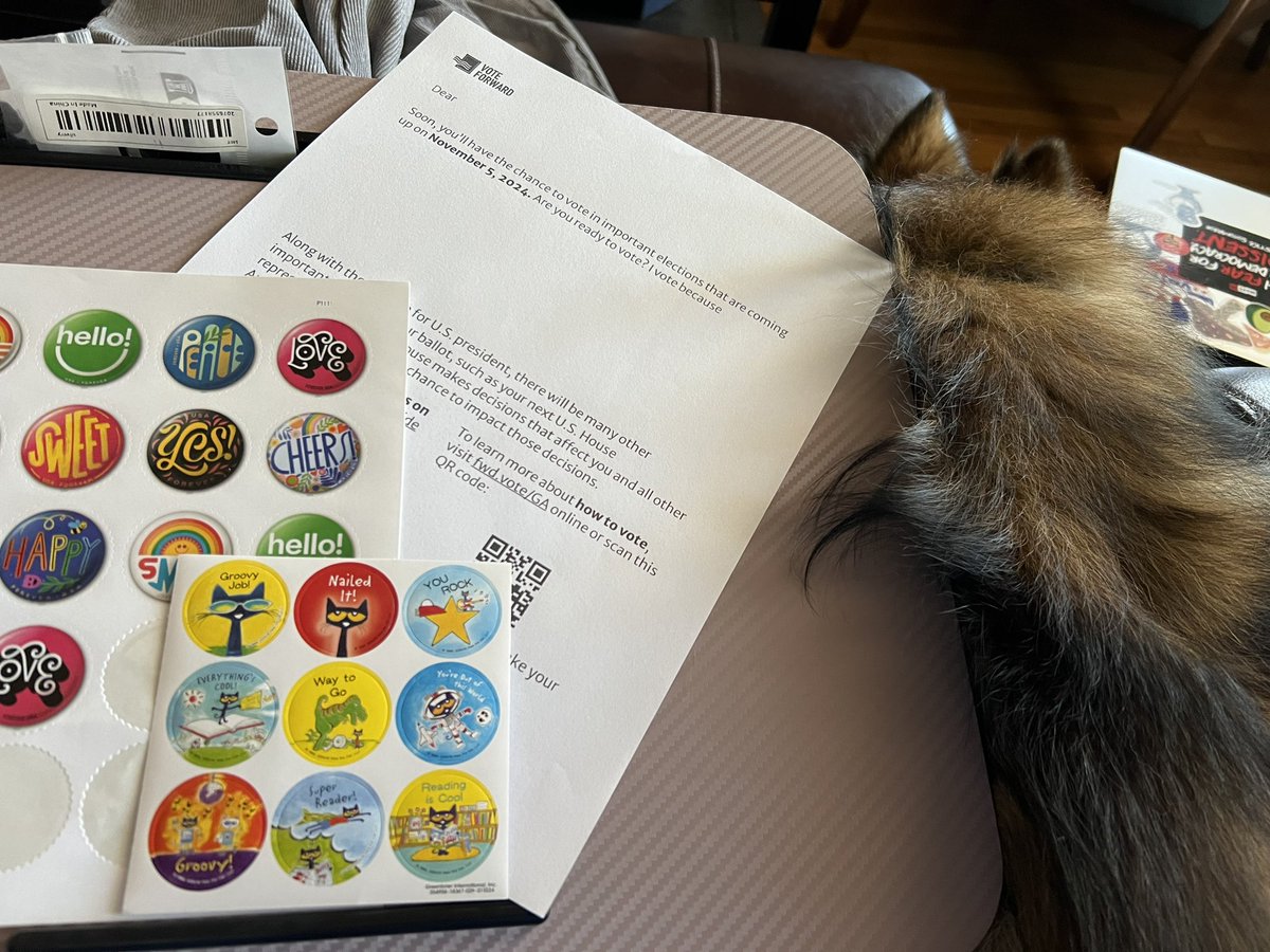 Ralphie the 3-legged WonderPom tweet media