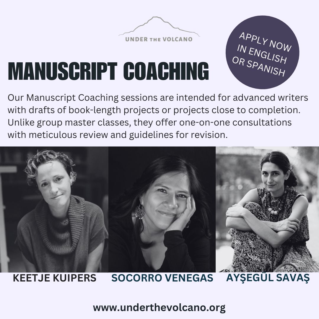 Under the Volcano tweet media