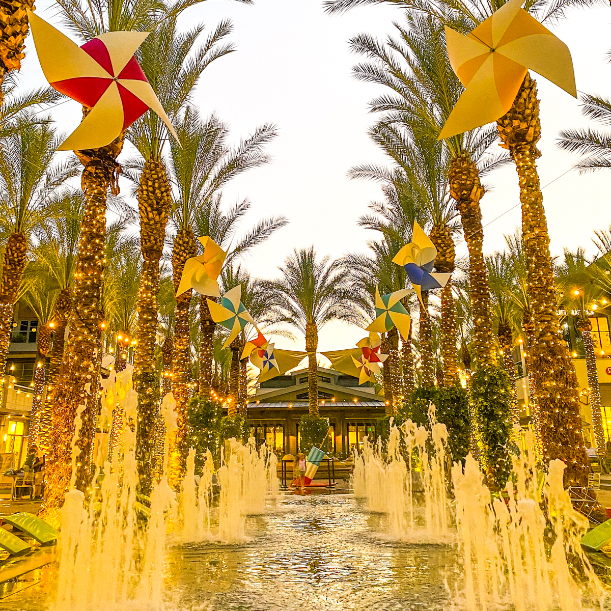 Colleen Lanin tweet media