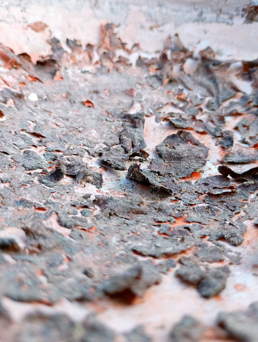 JudeRaho's tweet photo. Lava Blaze 3 Camera Samples πΈ @LavaMobile Price - βΉ9,999/-
Did you like them?
#lavablaze3 #camerasamples #naturephotos #lava https://t.co/n6rHhsnN0M