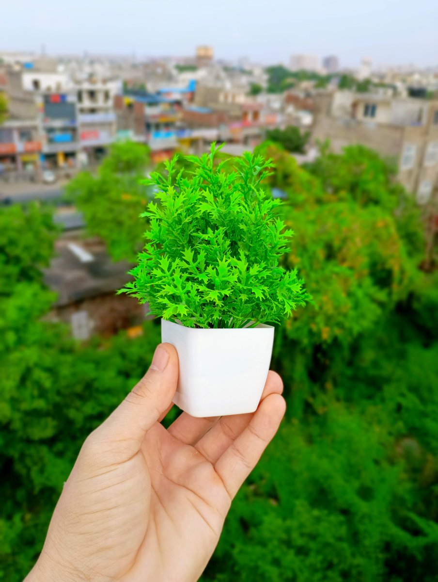 JudeRaho's tweet photo. Lava Blaze 3 Camera Samples πΈ @LavaMobile Price - βΉ9,999/-
Did you like them?
#lavablaze3 #camerasamples #naturephotos #lava https://t.co/n6rHhsnN0M