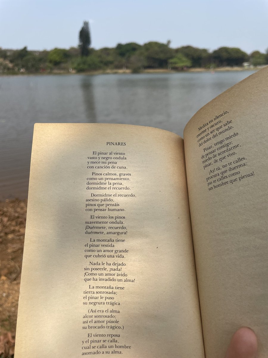 Ojitosdelucero0's tweet image. #gabrielamistral 📜 #brasil #lagoaSanta