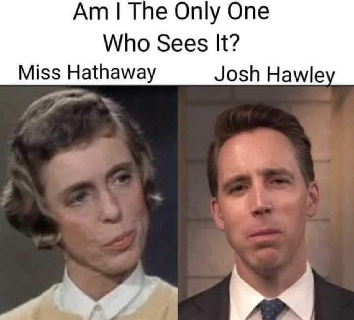 MemeWrangler tweet media