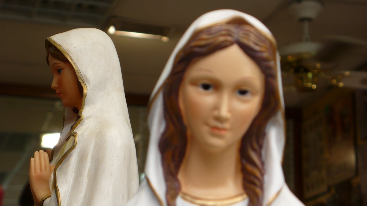 OCN Distribution tweet media