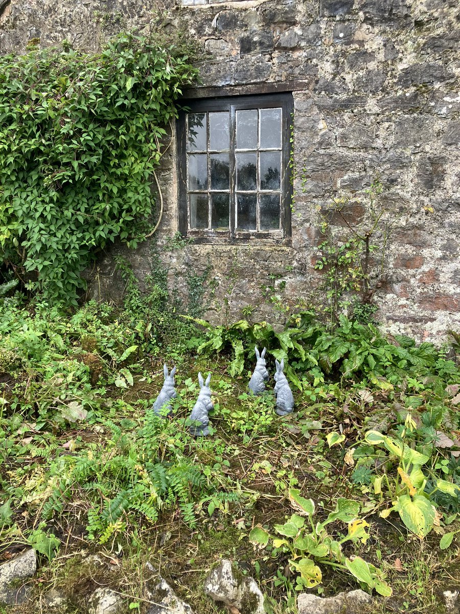 Cambria Celtica Ⓥ 🐶🏺🛳 👁️⃤ 🍸🚂🏴󠁧󠁢󠁷󠁬󠁳󠁿 tweet media