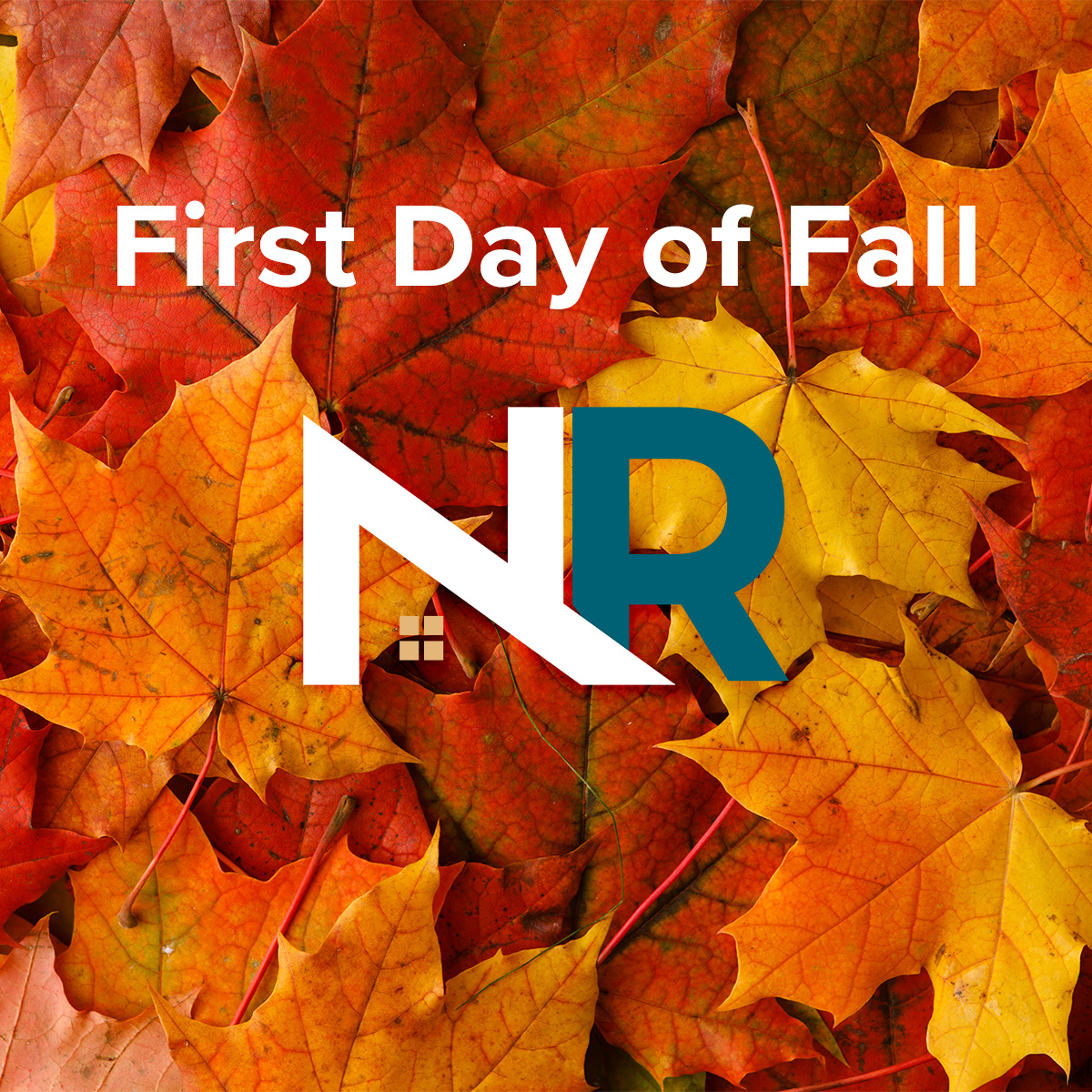 🍂 Today’s the first day of fall. And though fall DOES NOT bring colorful leaves to South Florida, it DOES bring the perfect weather for roof inspections and repairs. 

We’ll certify your roof is in peak condition! 

#NativeRoofing