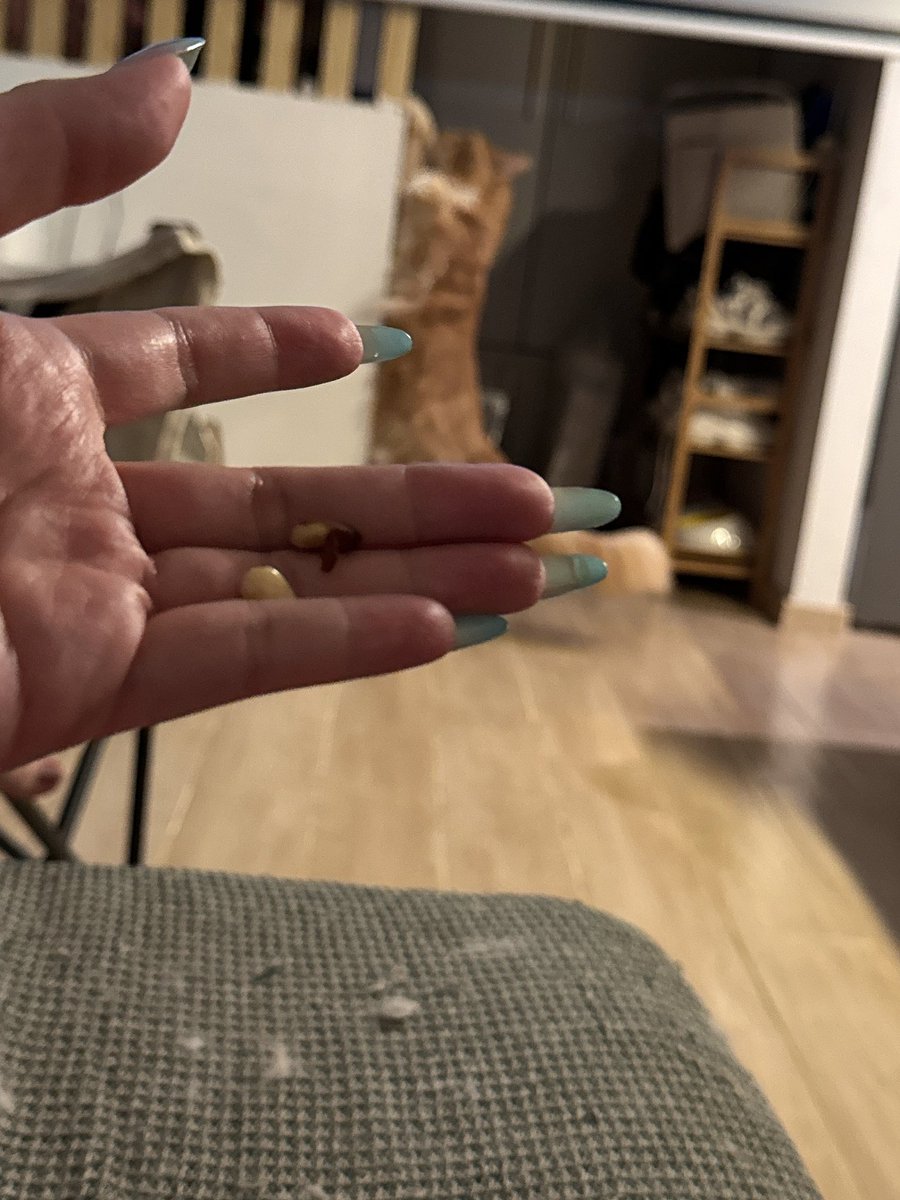 黄推福利内容 - 𝙎𝙚𝙙𝙪𝙘𝙚的精彩图片 福利姬𝙎𝙚𝙙𝙪𝙘𝙚分享的黄推图片4 - 网红私拍内容