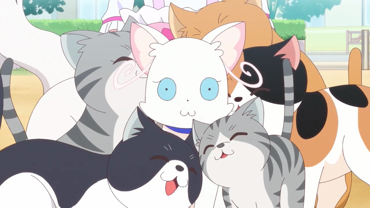 けさ放映のわんだふるぷりきゅあ第34話を録画にてようやく視聴。今回は