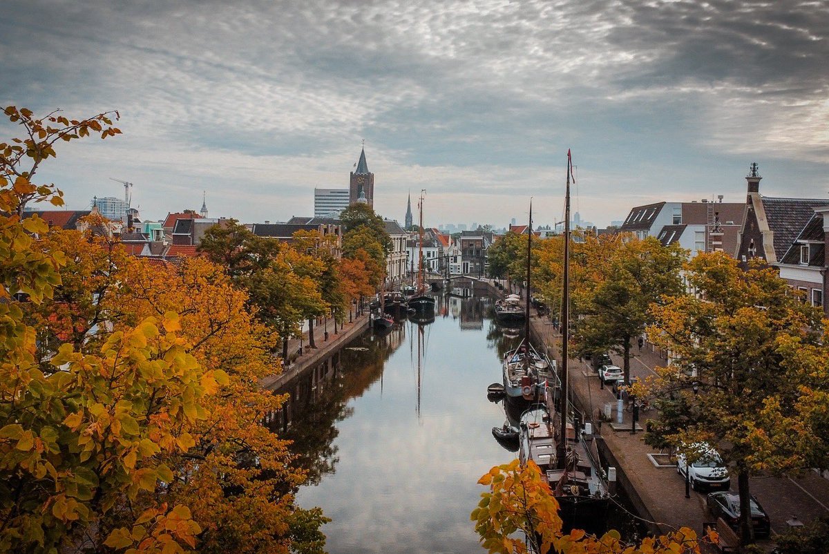 Kamel R. Laribi tweet media