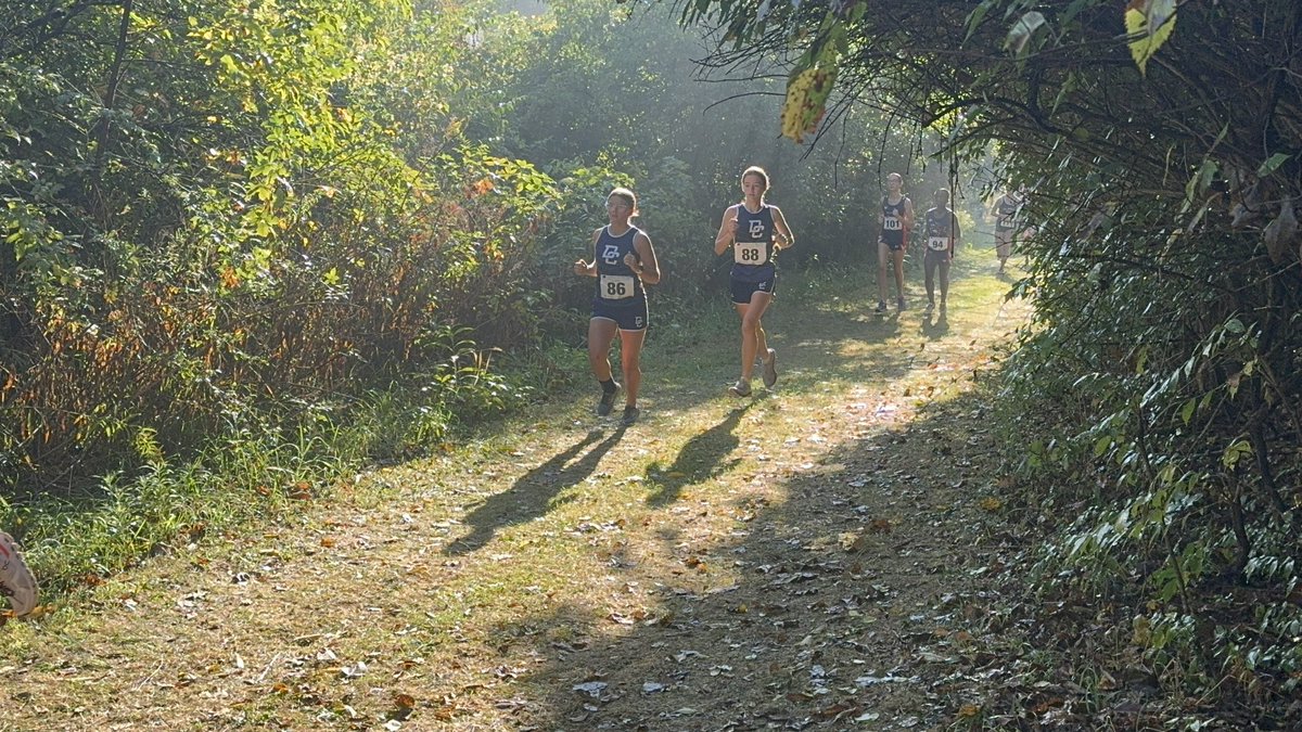 Decatur HS Cross Country tweet media