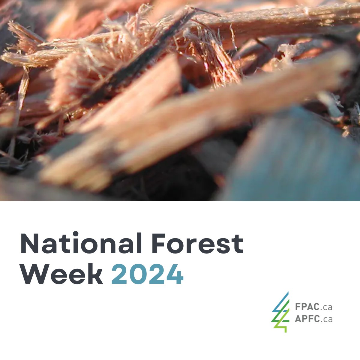 FPAC_APFC's tweet photo. Forests can play a crucial role in the emerging bioenergy sector by converting wood residues and by-products into renewable energy &amp; fuels. This process reduces waste, lowers carbon emissions, and can support a more sustainable future: https://t.co/6bS7Y8kv4W #NationalForestWeek https://t.co/ASiKYRSjcB