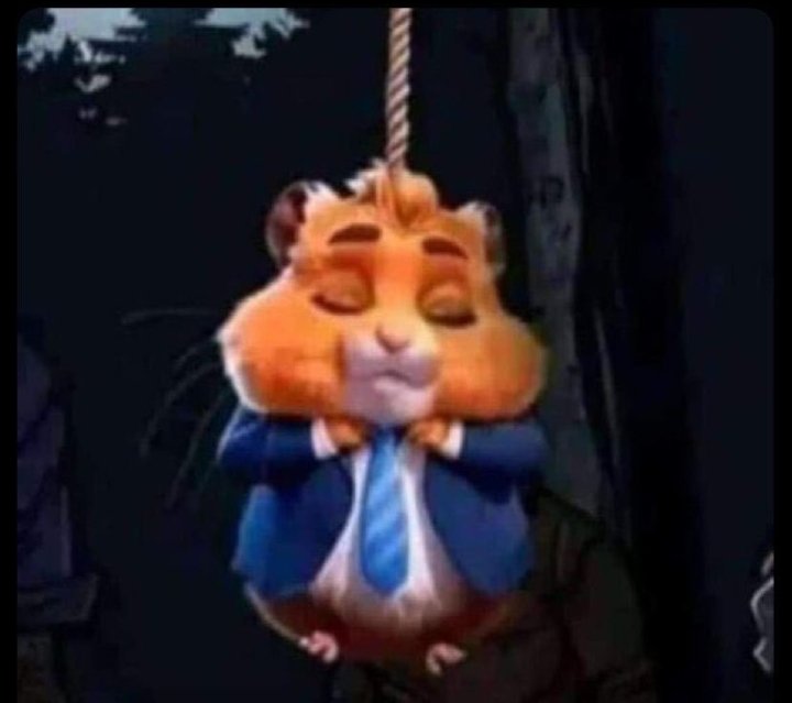 danickbix's tweet photo. it's clear Big and proud projects are just based on referral and likely end up to be scam projects, @hamster_kombat Hav once again Scammed the community 
I rest my case on Airdrop hunting that takes almost all my time. https://t.co/tDOVgVsuaZ