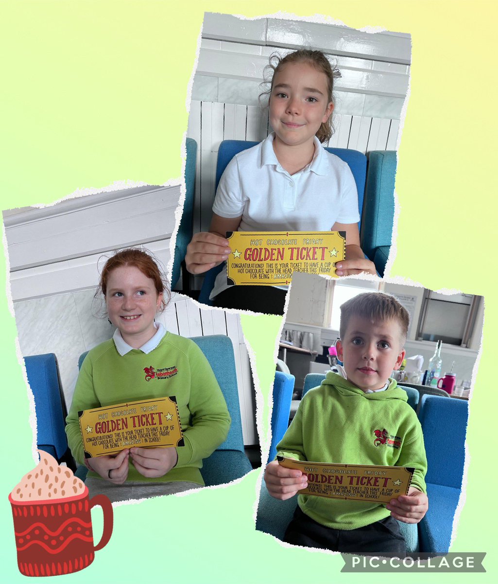 Stebonheath School tweet media