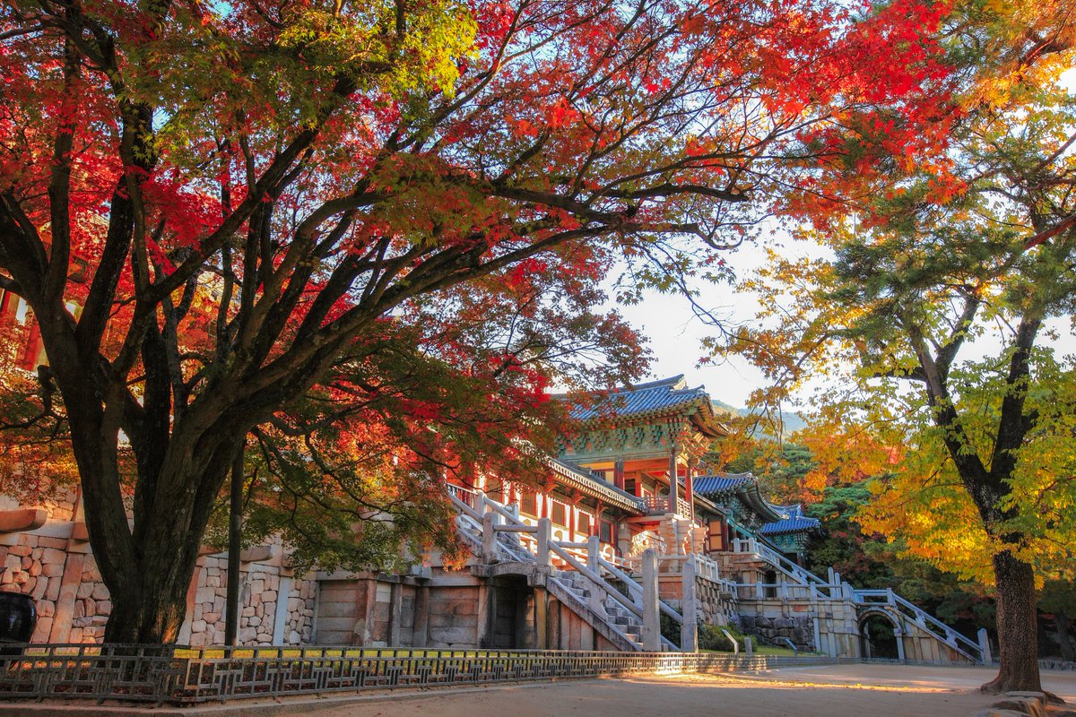 VisitaCorea's tweet photo. El templo Bulguksa es la reliquia representativa de Gyeongju y fue designado Patrimonio Cultural de la Humanidad por la Unesco en 1995 😊

Es aún más bello en otoño 🍂❤️

Si quieres saber más sobre el lugar: https://t.co/Ss6T2G8GTV

📷 mongle_jyh https://t.co/cmR68tuZYg