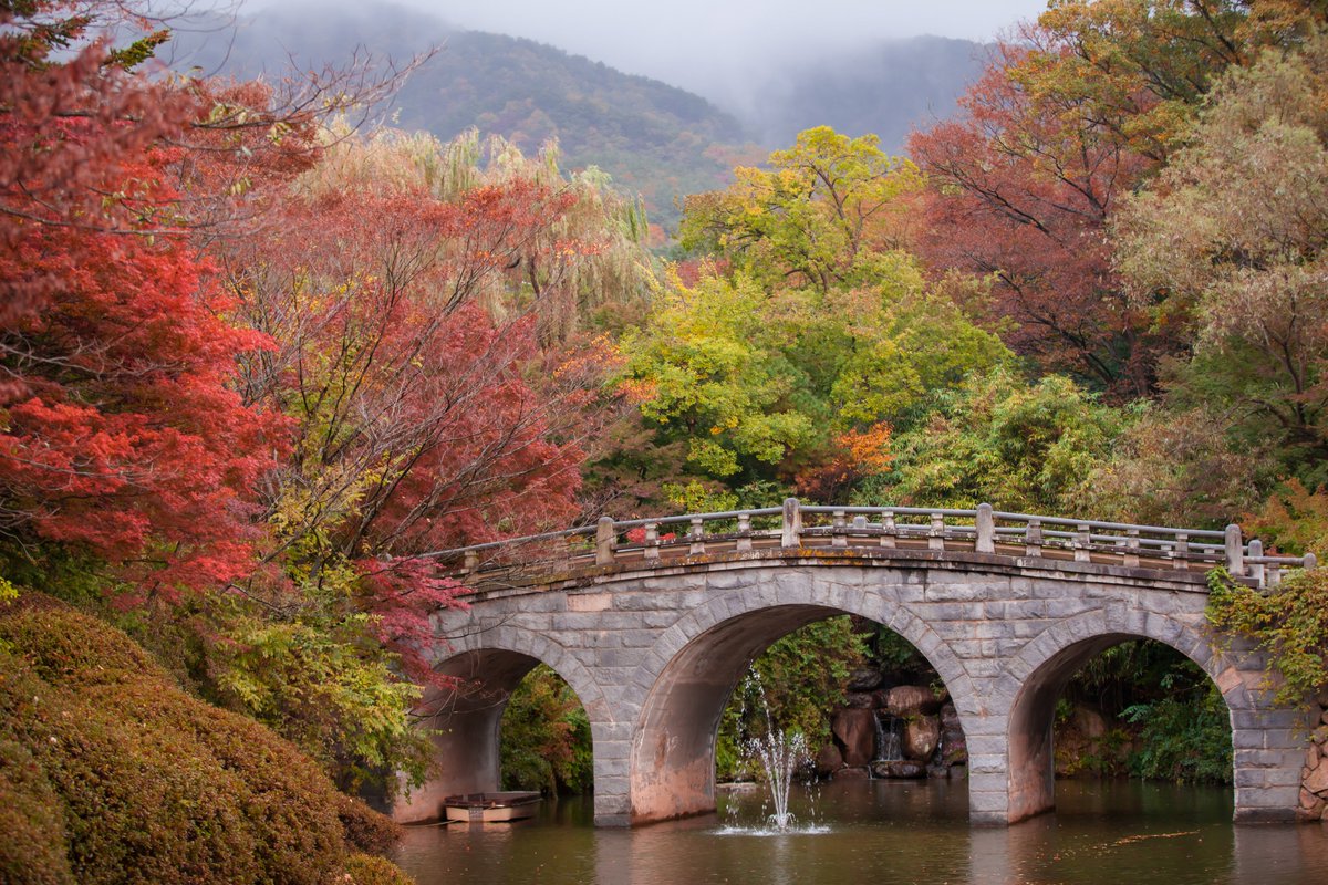VisitaCorea's tweet photo. El templo Bulguksa es la reliquia representativa de Gyeongju y fue designado Patrimonio Cultural de la Humanidad por la Unesco en 1995 😊

Es aún más bello en otoño 🍂❤️

Si quieres saber más sobre el lugar: https://t.co/Ss6T2G8GTV

📷 mongle_jyh https://t.co/cmR68tuZYg
