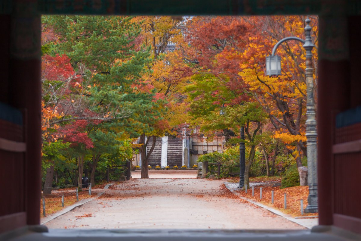 VisitaCorea's tweet photo. El templo Bulguksa es la reliquia representativa de Gyeongju y fue designado Patrimonio Cultural de la Humanidad por la Unesco en 1995 😊

Es aún más bello en otoño 🍂❤️

Si quieres saber más sobre el lugar: https://t.co/Ss6T2G8GTV

📷 mongle_jyh https://t.co/cmR68tuZYg