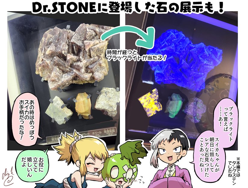 (2/2)
本当に楽しかったです。また行きたい! 
