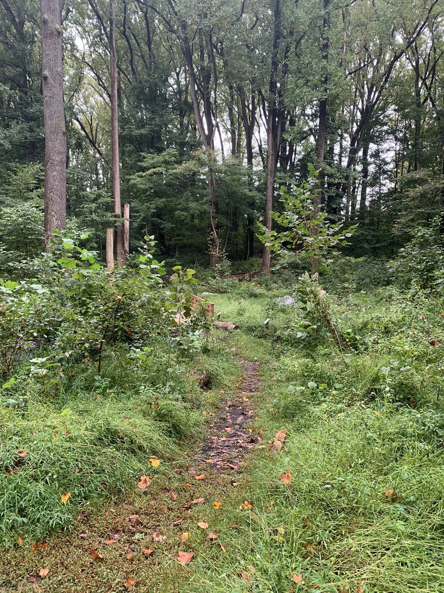 Montoya4MCPS's tweet photo. So many campaign events…it’s great to regroup with #cubscout hike #woodend #natureforward #montgomerycountymd https://t.co/R9KPGzVRzm