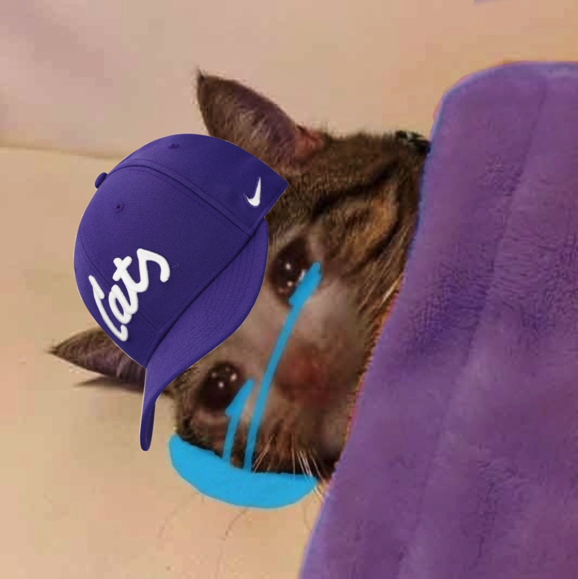 K-State twitter rn (myself included)