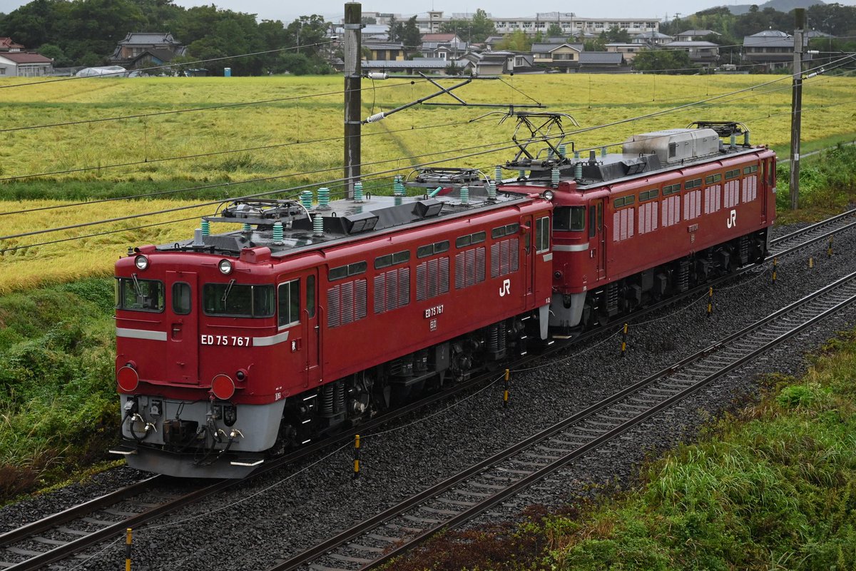 yurutetsu63's tweet photo. 2024/9/21
配9145レ
EF81 134+ED75 767
撮影会送り込み

初の秋田ナナゴを後追いで https://t.co/M3qoryIBhB