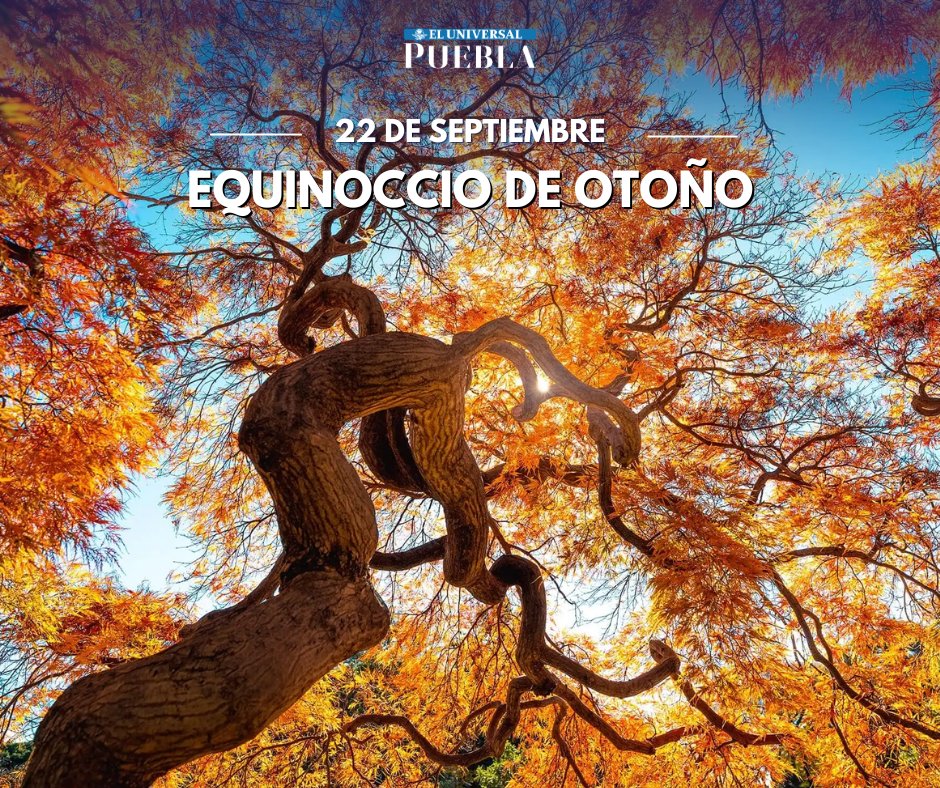 UniversalPuebla's tweet photo. 🍂🥮 ¡Llegó el #otoño! El #equinoccio ocurre anualmente entre el 22 y 23 de septiembre, y se trata de un evento #astronómico generado cuando el Sol se ubica directamente sobre el #ecuador, distribuyendo la luz en ambos hemisferios equitativamente, marcando el cambio de estación. https://t.co/4Bmvk2nQmH