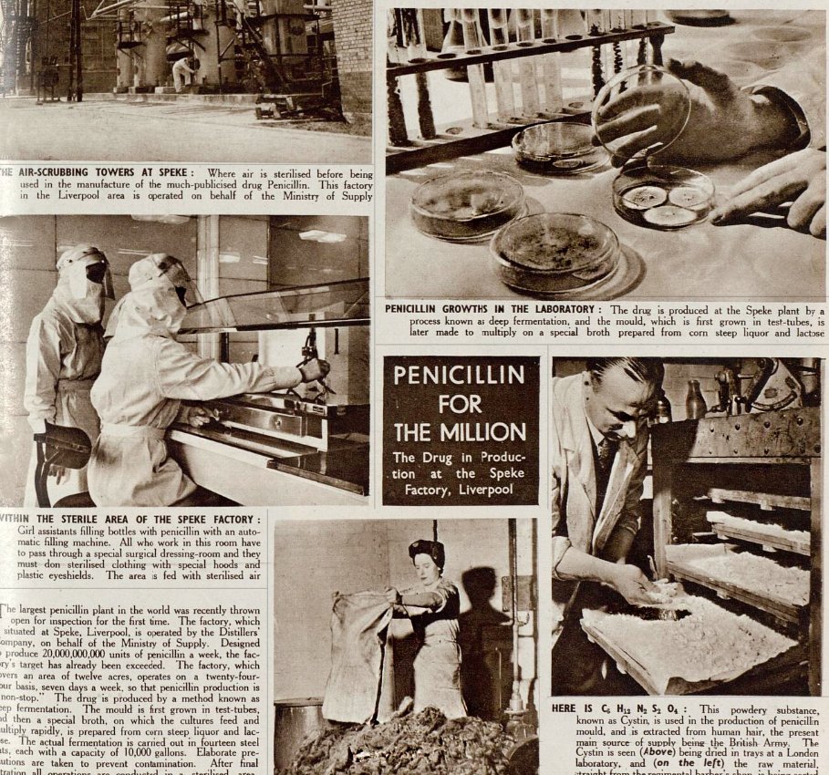 The British Newspaper Archive tweet media