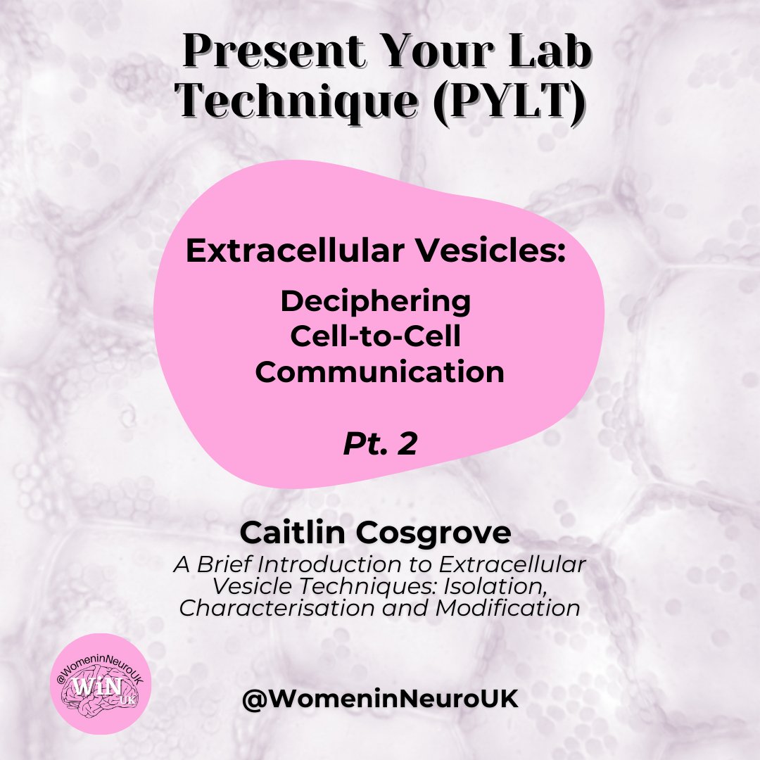 WiNUK: Women in Neuroscience UK π§ (@womeninneurouk) on Twitter photo Part 2 of <a href="/CaitlinCeciliaC/">Caitlin Cosgrove</a>'s @WiNUK1 #PYLT Series dives into the technical side of extracellular vesicle (EV) research! Let's break it down β¬οΈ Part 2 of <a href="/CaitlinCeciliaC/">Caitlin Cosgrove</a>'s @WiNUK1 #PYLT Series dives into the technical side of extracellular vesicle (EV) research! Let's break it down β¬οΈ
