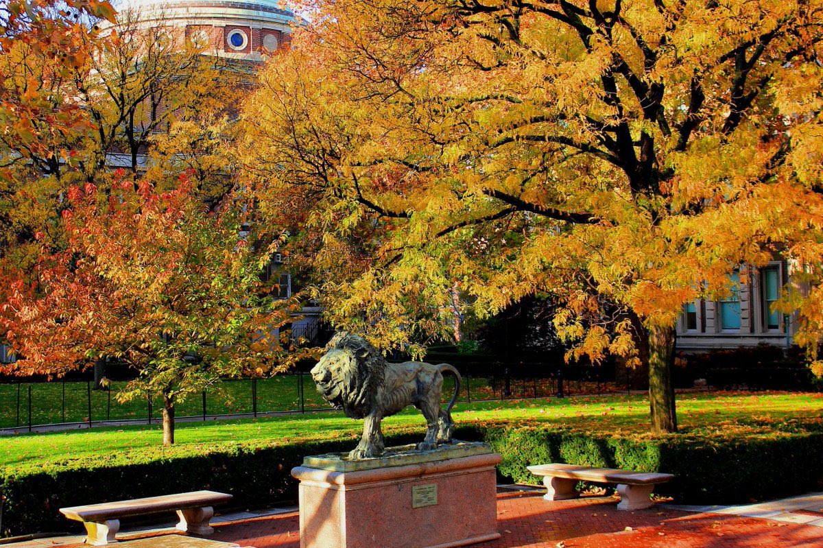 Ivy League (@ivyleague) on Twitter photo This league
on these campuses 
during this season
just hits different.
Happy Fall! 🌿🍁 This league
on these campuses 
during this season
just hits different.
Happy Fall! 🌿🍁