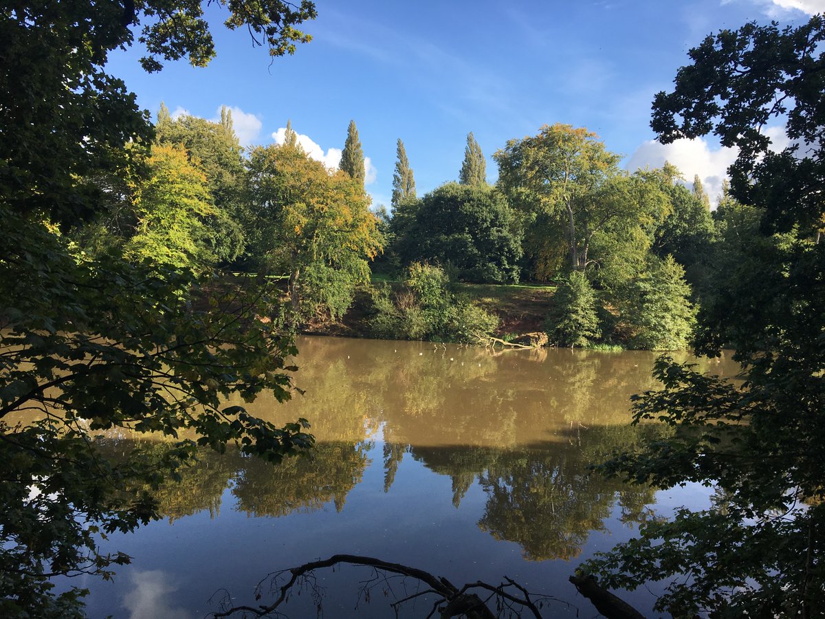 Time line cleanser.   Post a picture of nature.  A picture YOU took. Just a pic. No description. The goal is to regain peace and harmony without negativity.  Let’s look at these beautiful pictures. Here's mine. #PHOTOS #nature #Peace