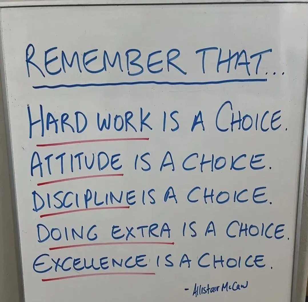 Seek Wiser tweet media