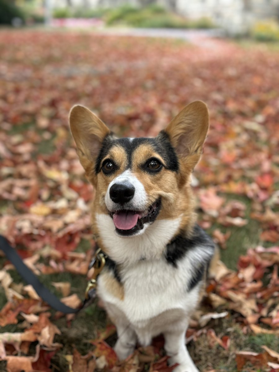 Jennifer Rothman tweet media